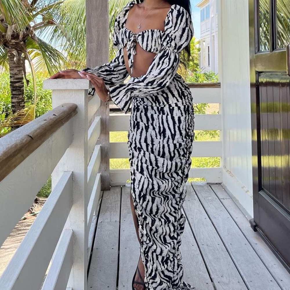 Zebra Print 2 Piece Set | Cropped Top + Maxi Skirt w Slit